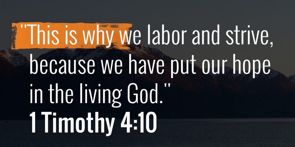 YW-2017_Labor-Strive_1200x600